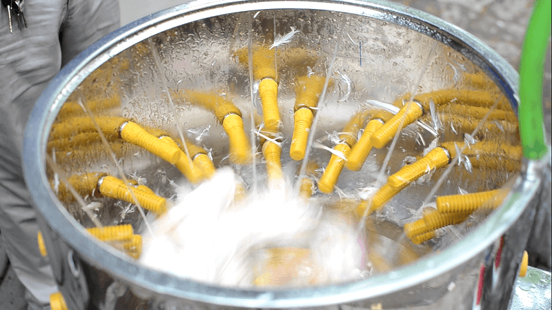 Vặt lông gà vịt bằng máy vặt lông vịt Việt Nam
